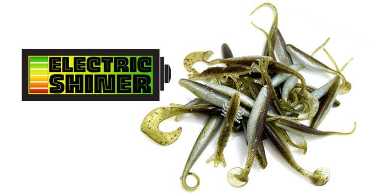 Magnifishrimp, Electric Shiner